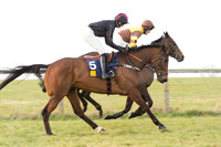 Race 6 Div 2 - Open Maiden  (15 of 131).jpg