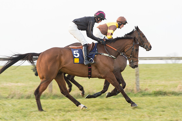 Race 6 Div 2 - Open Maiden  (15 of 131).jpg