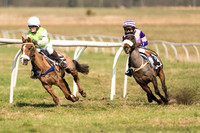 Pony Race 1 - 128 -  (9 of 24).jpg