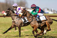 Pony Race 1 - 128 -  (19 of 24).jpg