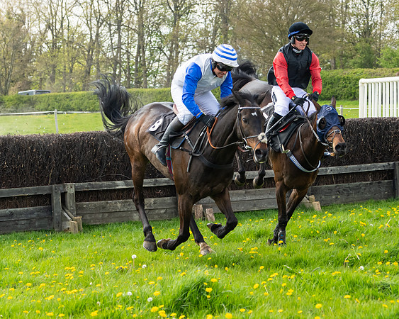 Race 2 - Veteran Horse  (71 of 82)