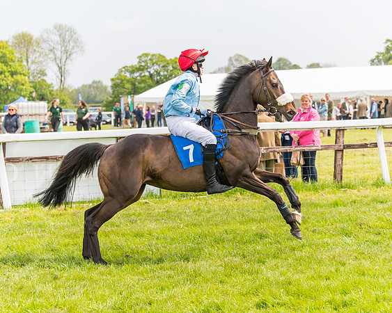 Pony Race 2 - 148cm (4 of 142)