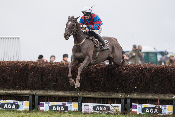 Race 5 - The Intermediate (44 of 59).jpg
