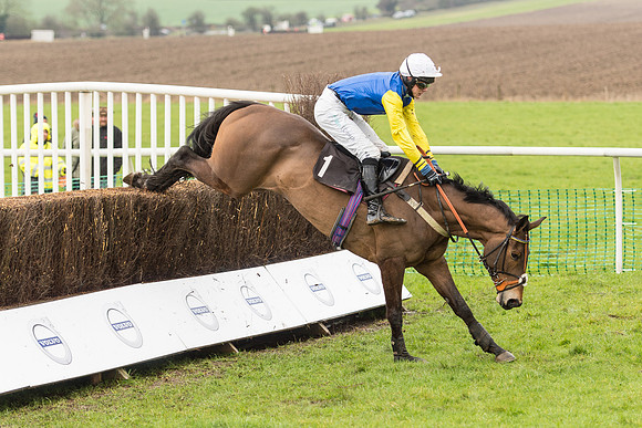 Race 1 - Young Horse Maiden (44 of 50).jpg
