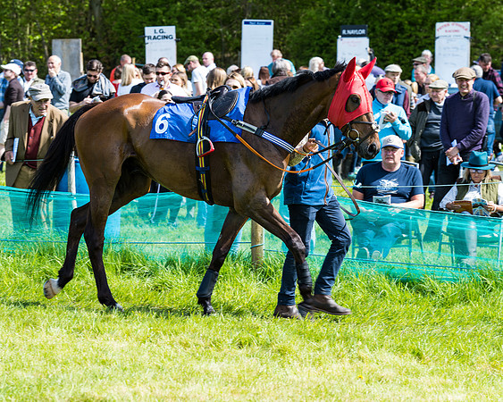 Race 3 - The Ladies open (15 of 104)