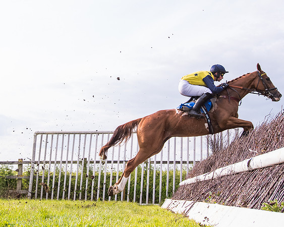 Race 6 - Open Maiden (140 of 346)