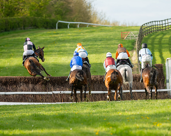 Race 7 - Maiden  (42 of 113)