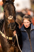 Race 4 - Novice and Veteran Riders (3 of 115).jpg