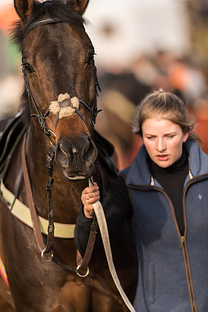 Race 4 - Novice and Veteran Riders (3 of 115).jpg