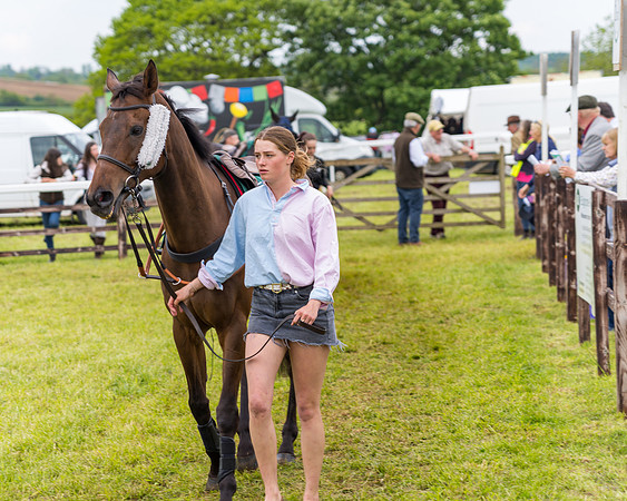 Race 7 - Veteran Horse conditions (31 of 244)