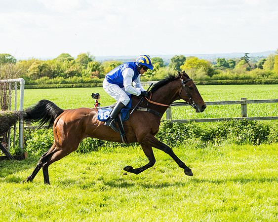 Race 5 - 2m5f Maiden (78 of 144)