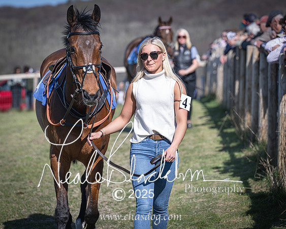 Race 6 - Veteran horse (9 of 109)