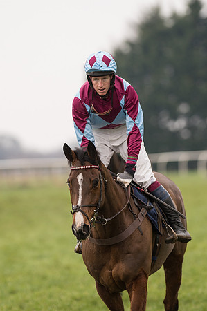Race 5 - The Restricted Race (84 of 86).jpg