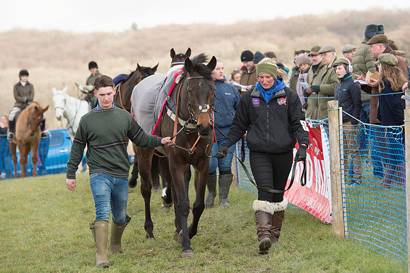 Race 1 - Div 2 - Young Horse Maiden (2 of 122).jpg