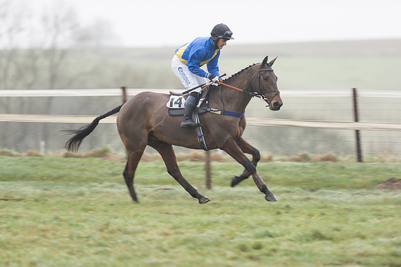 Race 5 - The Intermediate (23 of 59).jpg