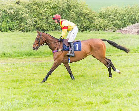 Race 6 - Maiden (10 of 129)