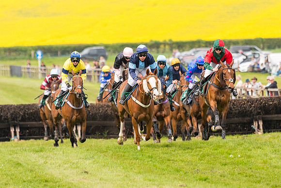 Race 2 - Owner-Trainer Conditions  (104 of 208)