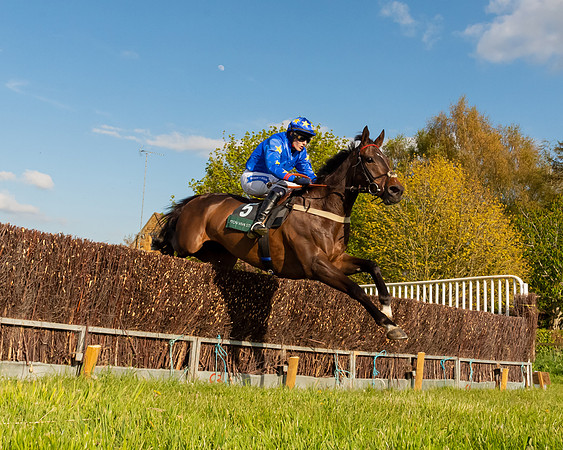 Race 7 - Maiden  (52 of 113)