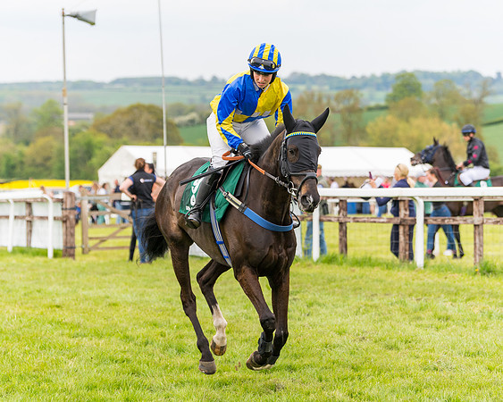 Race 7 - Veteran Horse conditions (51 of 244)