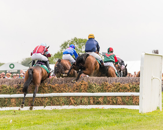 Race 2 - Owner-Trainer Conditions  (100 of 208)