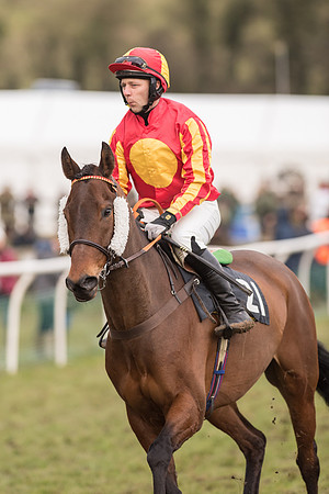 Race 6 - The Open Maiden (19 of 100).jpg