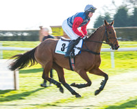 Race 5 - TBA members Mares and Fillies race (13 of 101).jpg