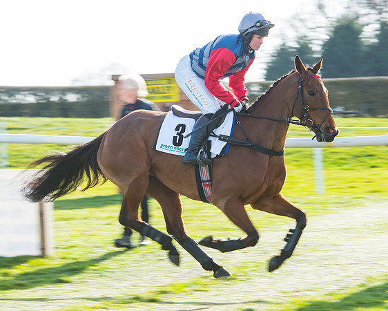 Race 5 - TBA members Mares and Fillies race (13 of 101).jpg