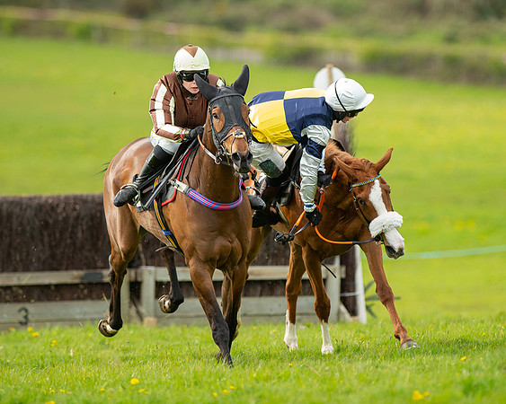 Race 5 - Open Maiden  (48 of 89)