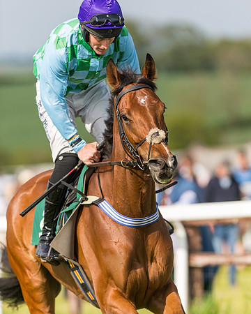 Race 5 - Restricted  (43 of 164)