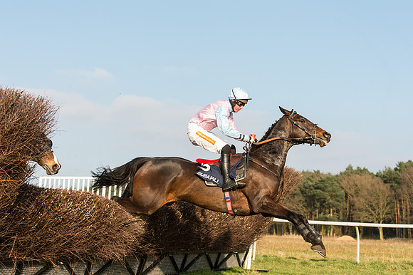 Race 5 - Restricted Race (40 of 64).jpg