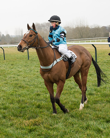 Bicester Ponies-110.jpg