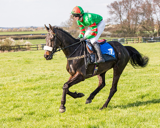 Race 5 - The Waverton Investment Management Ltd Restricted Race farmers and subscribers Race  (34 of 161)
