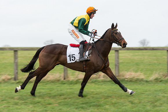 Race 7 - Open Maiden (46 of 131).jpg