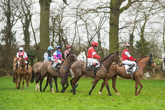 Race 5 - Ladies Open Race (32 of 119).jpg