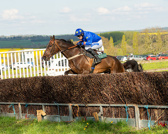 Race 7 - Maiden  (61 of 113)