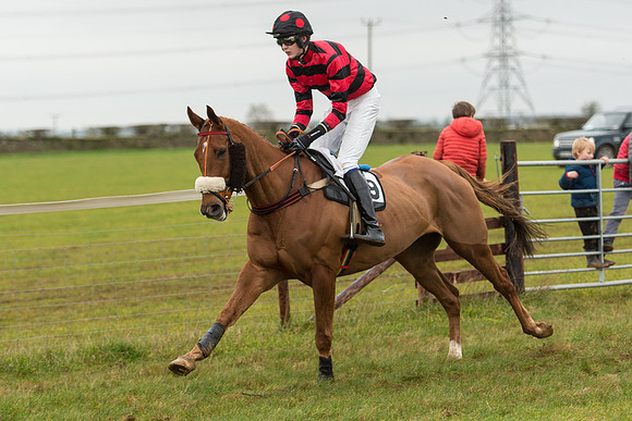 Race 3 - Novice Riders Race (38 of 150).jpg