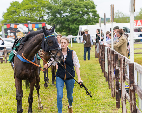 Race 7 - Veteran Horse conditions (3 of 244)