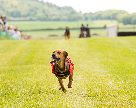 Draghounds Race (157 of 212)