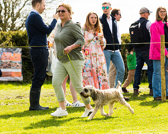 Dog show etc (76 of 157)