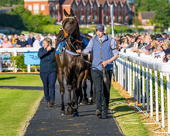 Race 4 - Foxhunters Championship (14 of 175)