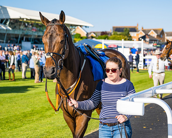 Race 3 - John Corbet Cup (3 of 127)