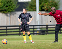 Royston Town 3 v 2 Chesham United (4 of 496)