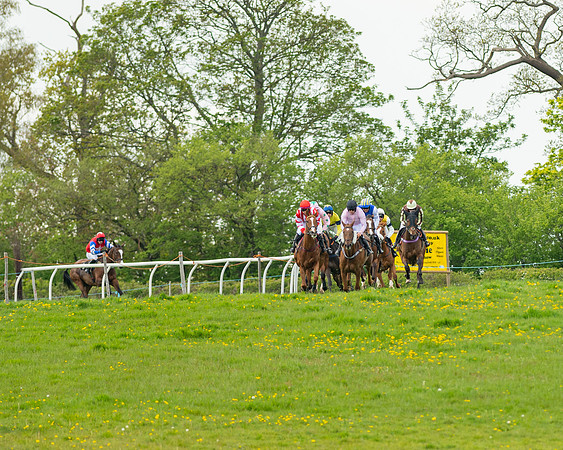 Race 5 - Open Maiden  (10 of 89)