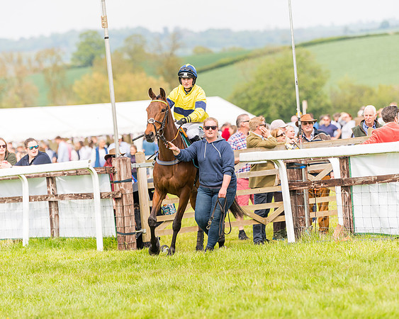 Race 2 - Owner-Trainer Conditions  (56 of 208)