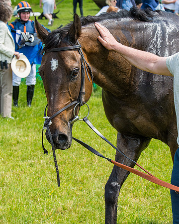 Race 1 - The Little Red owner Trainer conditions (310 of 345)