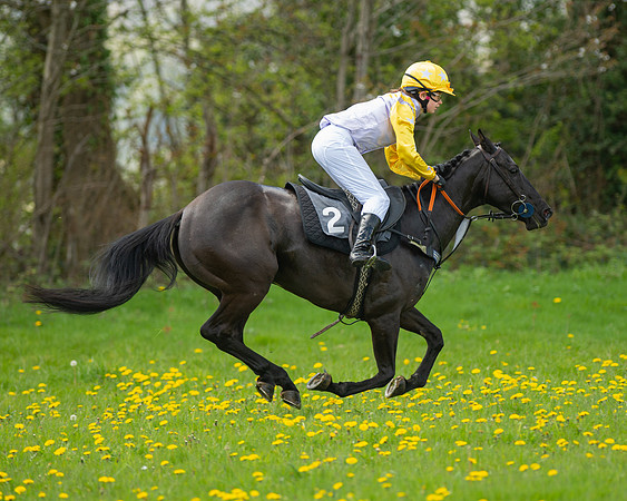 Ponies and Side saddle (52 of 69)