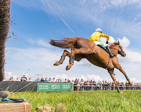 Race 5 - Restricted  (81 of 164)