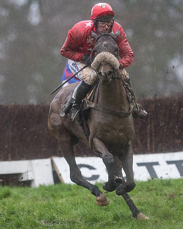Race 7 - Open Maiden DIvision 2  (84 of 131).jpg