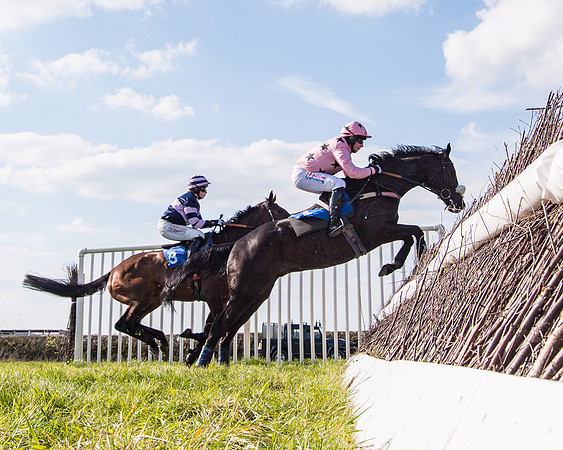 Race 5 - The Waverton Investment Management Ltd Restricted Race farmers and subscribers Race  (60 of 161)