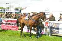 Race 2 - Open Maiden  14